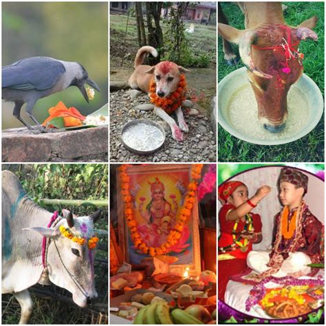 Tihar Festival Begins From Today