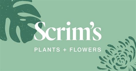 The files should be uploaded as soon as possible to give the writer time to review and use them in processing your order. Order Flowers Online Ottawa | Scrim's Florist