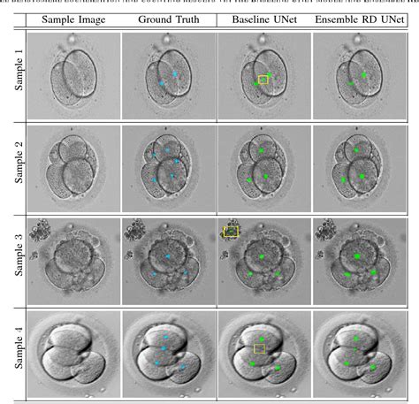 Table Ii From Blastomere Cell Counting And Centroid Localization In