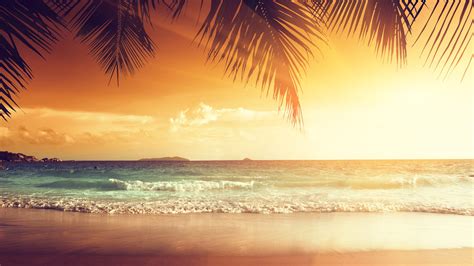 2560x1440 Landscape Beach Tropical Sun 1440p Resolution Hd 4k Wallpapers Images Backgrounds