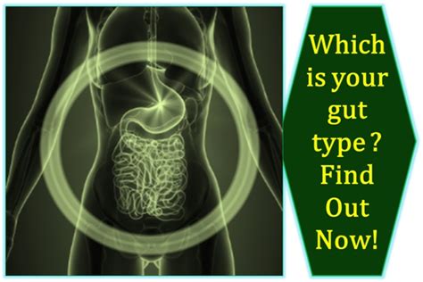 Which Is Your Gut Type Find Out Now Healthylife Werindia
