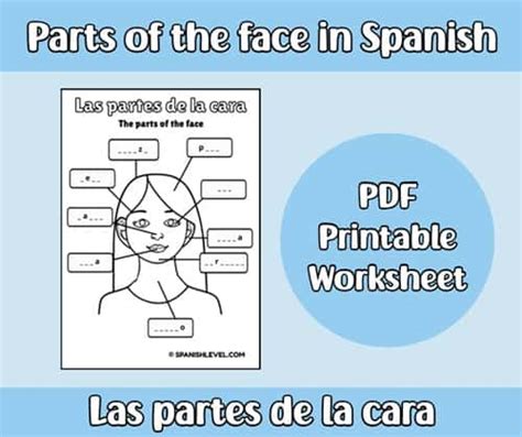 Parts Of The Face In Spanish Worksheet Spanish Level
