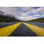 The Yellow Road Lines Explained  DriveSafe Online®