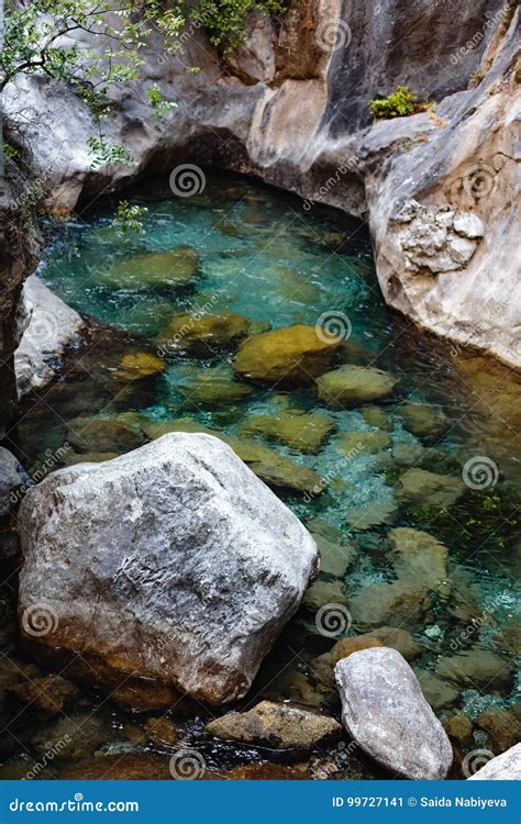 Vertical Shot Of Crystal Clear Water In Mountain River Stock Image