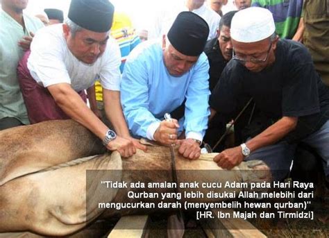 SERBA-SERBI IBADAH KURBAN - PEMUDA PERSIS KAB. SUMEDANG