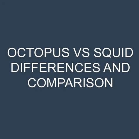 Octopus Vs Squid Differences And Comparison Differencess