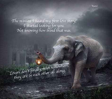 Beautiful Elephant Quotes Quotesgram