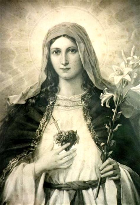 Deus de bondade, que enchestes o coração santíssimo e imaculado de maria dos sentimentos de misericórdia e de ternura, de que foi sempre penetrado o coração de jesus cristo, vosso filho, concedei a todos aqueles que honram esse coração virginal, a graça de conservar até à morte uma perfeita conformidade de sentimentos e inclinações com o coração sagrado de jesus cristo, que vive. Imaculado Coração de Maria