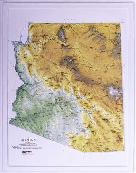 Arizona Relief Map Raven Style