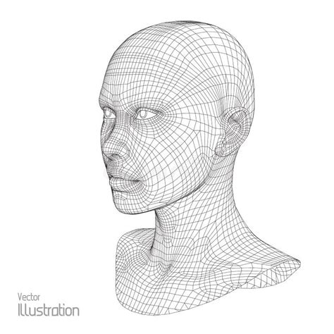 Head Of The Person From A 3d Grid Human Wire Model Polygon Face
