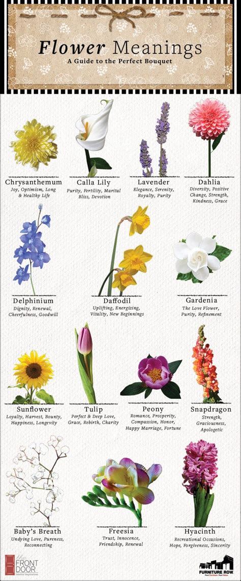 Flower Meanings A Guide To The Perfect Bouquet The Front Door By