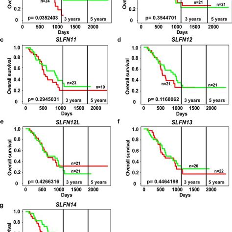 Elevated Expression Of Slfn5 Mrna In Pancreatic Cancer Patient Tissues