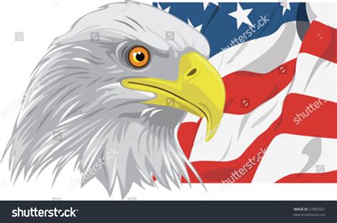 American Bald Eagle Illustration Vector Against Stock Vector Royalty