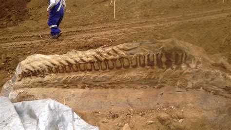 Oil Patch Workers Stumble Upon Massive New Complete Find Dinosaur Fossil Geology In