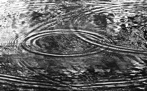 Drops Of Water Black And White Wallpapers Ultimate Black And White