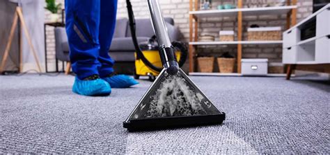 Carpets are dry in 1 hour. Advantages Of Hiring A Professional Carpet Cleaning Service