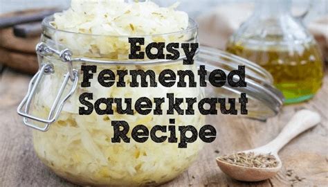 easy fermented sauerkraut recipe fermentaholics