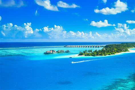 Maldives Island · Free Stock Photo