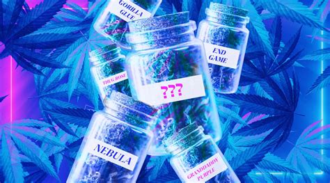 How Weed Strains Get Their Wacky Names