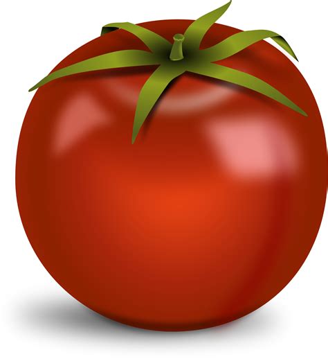 Tomatoes Clipart Free Download On Clipartmag
