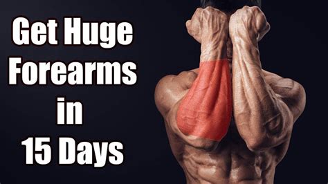 Top 3 Forearm Exercises How To Build Huge Forearms Optimal Training