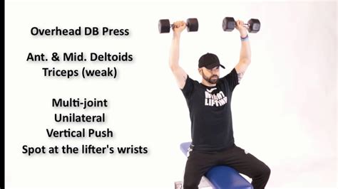 Overhead Press Dumbbells Youtube