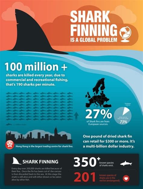 Shark Finning Infographic An Issue Close To Our Hearts 100 Million