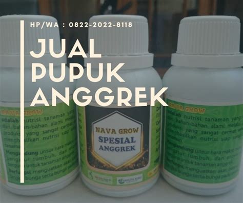 Tapilan bunga ini terlihat cukup sederhana, tetapi termasuk dalam jajaran bunga yang mempunyai harga yang amat mahal. Taman Bunga Pandeglang Kampung Jambu | Ideku Unik