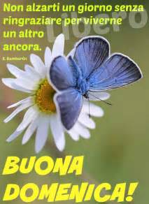 Che sia una bella, brutta, calda o fredda giornata la domenica è il giorno del relax, si vive qualsiasi sia la categoria alla quale appartieni, non puoi comunque fare a meno di augurare la buona domenica al tuo amore , all'amica o amico del. Non alzarti un giorno senza ringraziare per viverne un ...