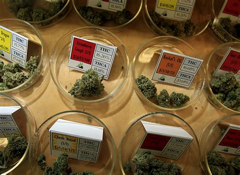 It is through a knowledge of basic skills, terminology, and rules of the kitchen that a final goal, preparation and service of quality is achieved in the hotel kitchen. Weed 101: How to Choose Marijuana - Rolling Stone