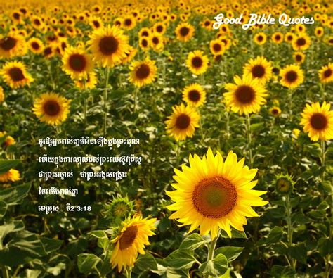 Here you can find the best bible verse wallpapers uploaded by our community. BIBLE-VERSES religion quote text poster bible verses j ...
