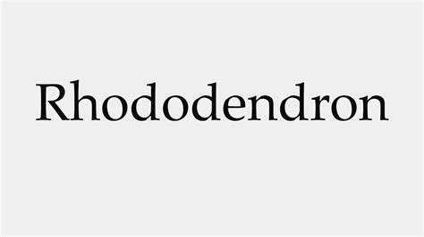 Aprende como pronunciar azalea en inglés escuchando grabacion de audio gratuita. How to Pronounce Rhododendron - YouTube