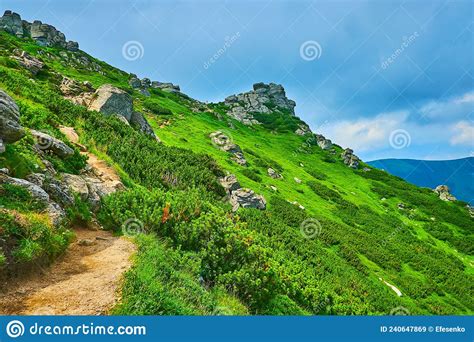 The Narrow Path Along The Edge Of The Mount Eared Stone Carpathians