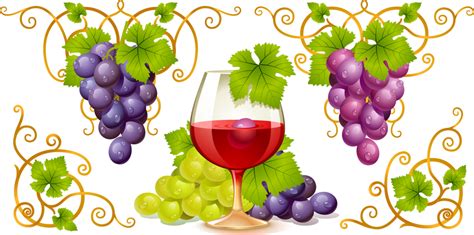Grapes And Wine Realistic Illustration Vector Download