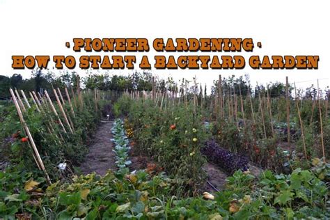 Use this guide to learn how to start a vegetable garden and if you want to save time, start with young plants and put them in your garden during the growing season (after all danger of frost in your area has passed). Pioneer Gardening - How To Start A Backyard Garden ...