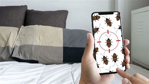 How To Find Bed Bugs During The Day In 7 Steps Without Fail