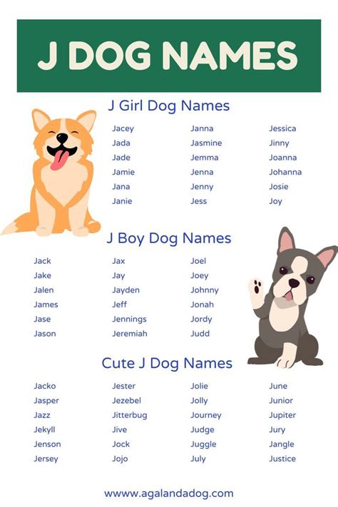 List Of J Dog Names Girl Dog Names Female Dog Names Puppy Names