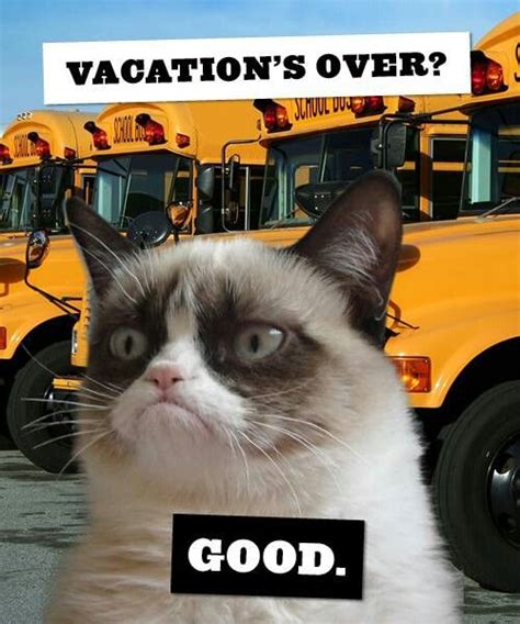 Vacations Over Good Grumpy Cat Funny Grumpy Cat Memes Grumpy Cat