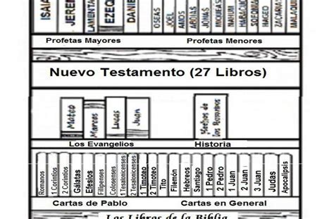Libros De La Biblia Antiguo Testamento En Orden Leer Un Libro