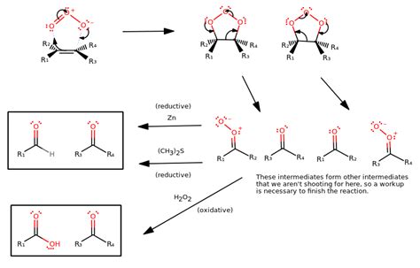 Oxidative Cleavage Of Alkene Mechanism My Xxx Hot Girl