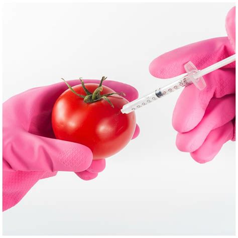 Why Genetically Modified Food Is Bad Organic Palace Queen