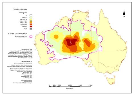 CamelScan > Large populations of feral camels in Australia