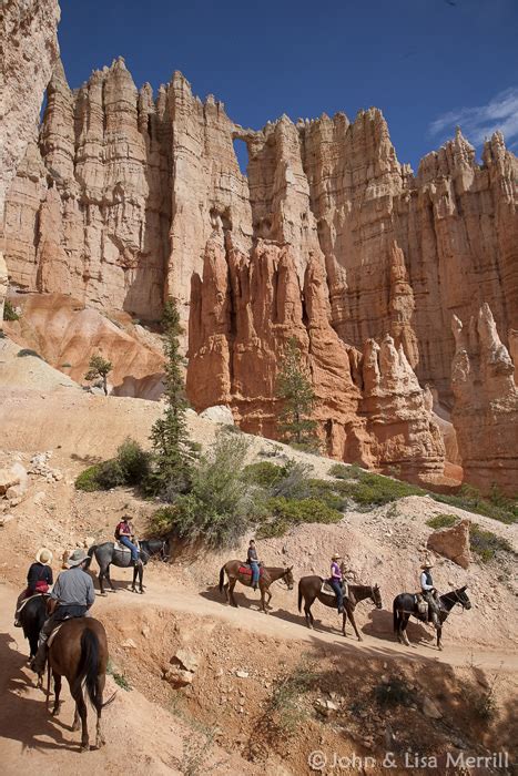Bryce Canyon Horseback Riding Bryce Canyon Horseback Tours