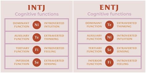 Intj Vs Entp Key Differences And Compatibility Psychologydictionary Org