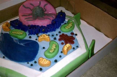 Plant Cell Cake 7th Grade Life Science Project