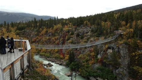 Skagway White Pass Summit With Yukon Suspension Bridge Tour Skagway Alaska Youtube