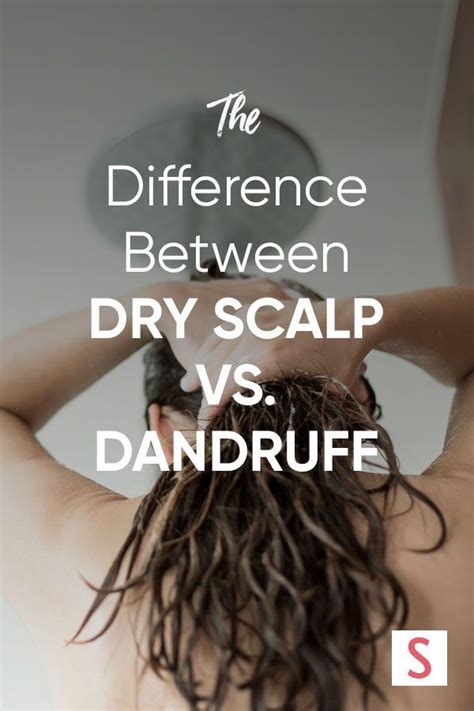 Dry Hair Oily Scalp Hair Hacks For Oily Scalp But Dry