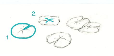 More images for how to draw a desert lily » How to Draw and Paint Lovely Lily Pads
