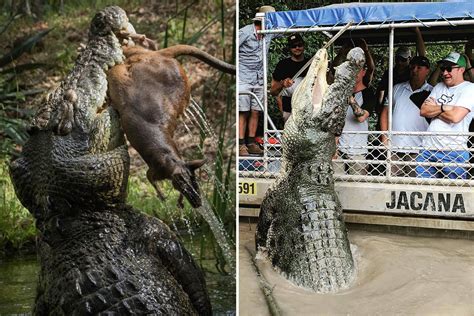 Inside The Terrifying Swamp Home To Worlds Biggest Crocodiles