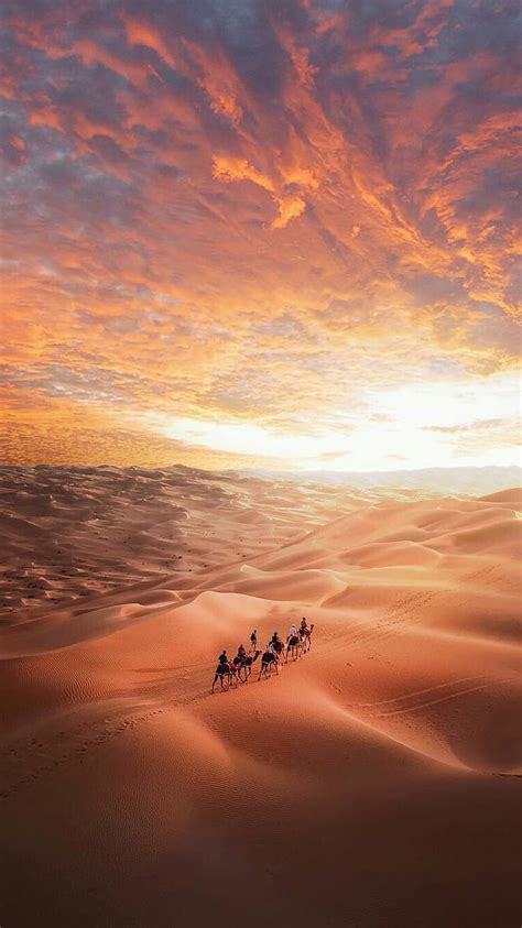 Desert Camels Clouds Nature Sahara Sand Dunes Sky Sunset Hd